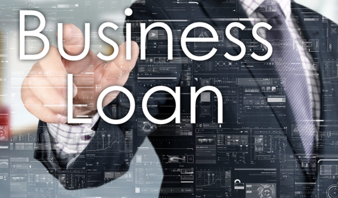 business loan in india